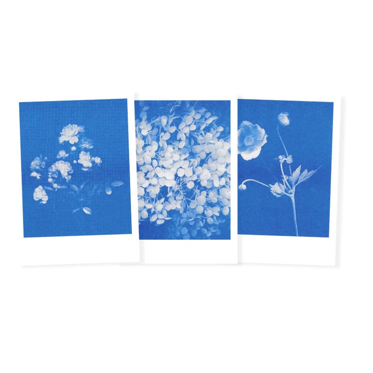 Riso postcard set, Flowers