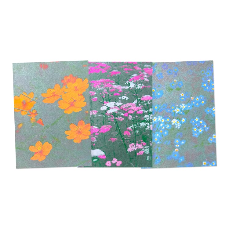 Riso postcard set, Flower meadow