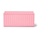 Container DS RAL 3015 Light pink